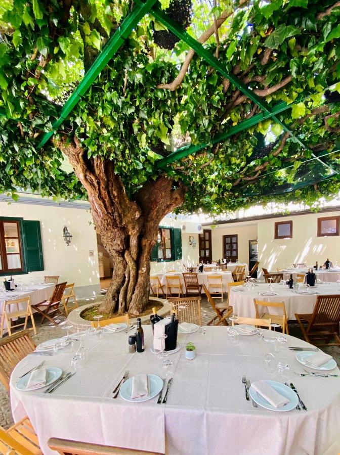 Antica Locanda Al Gelso Monfalcone Exterior photo